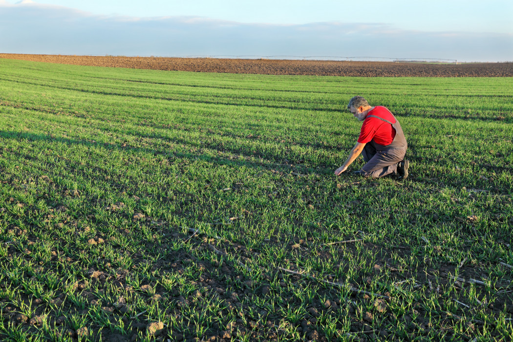 Agribusiness