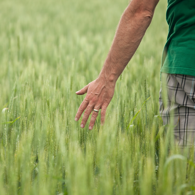 FIELD iStock 17203998Large square