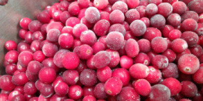 cranberrieswestland.com
