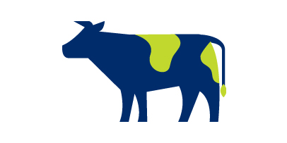 cow copy