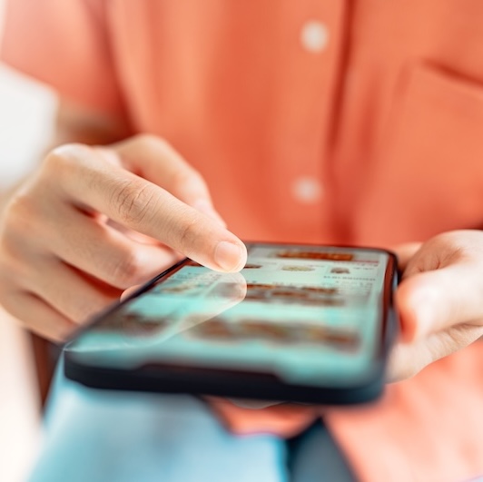 Person shopping for groceries on their smartphone